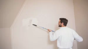 painting the walls white